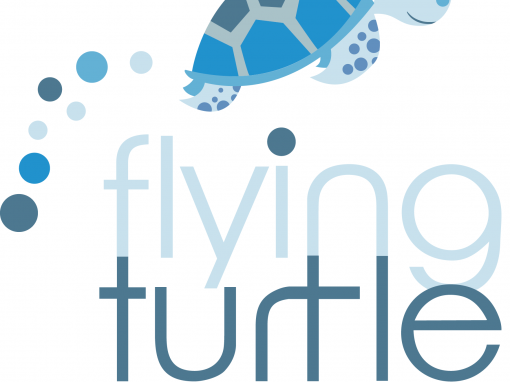 flying turtle